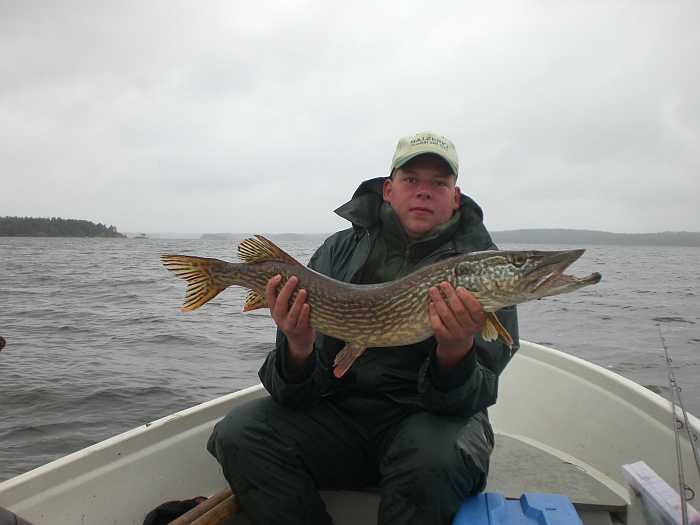 Der Blinker war erfolgreich